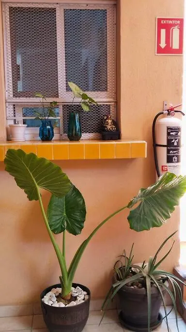 מלון דירות קאבו סן לוקאס Terraza Studios מקסיקו