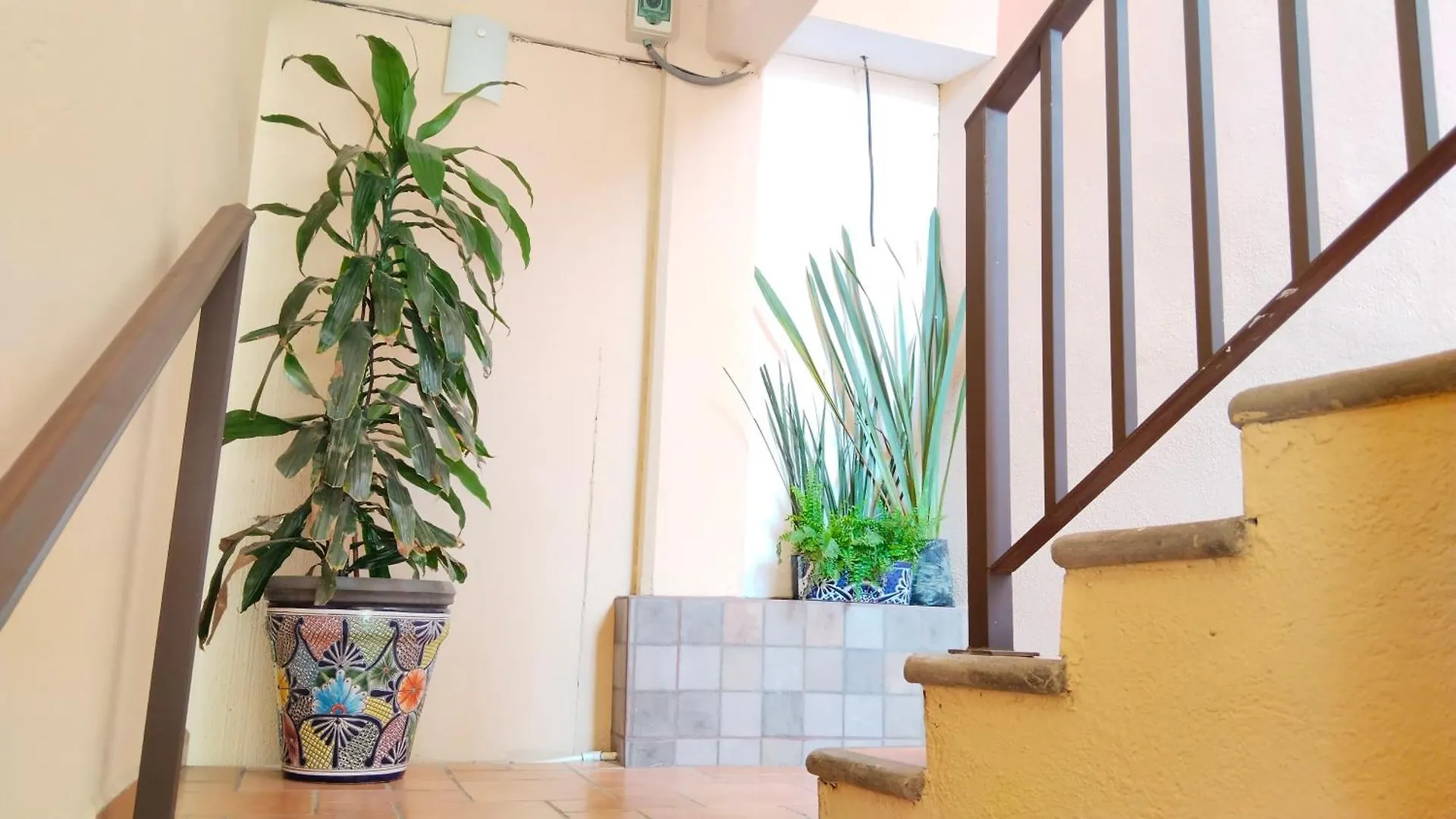 קאבו סן לוקאס Terraza Studios 0*, קאבו סן לוקאס מקסיקו